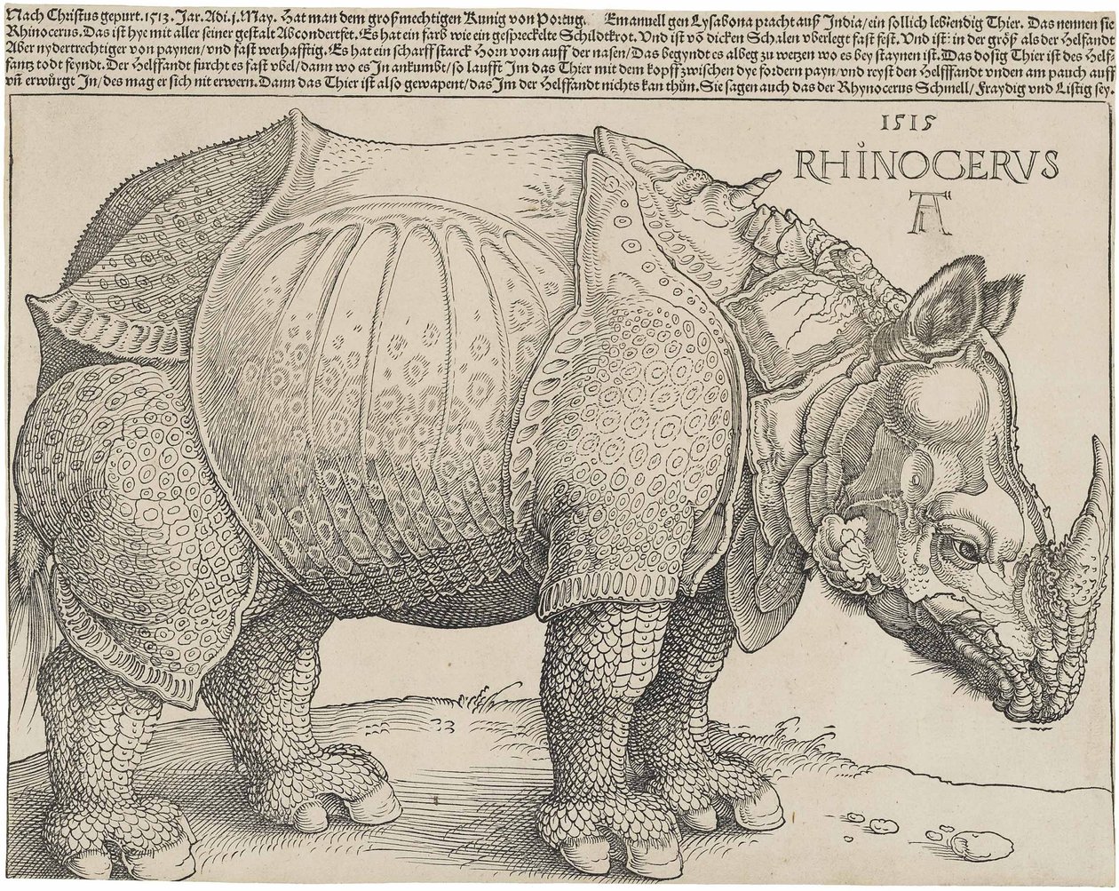 गैंडा, 1515 द्वारा अल्ब्रेक्ट ड्यूरर