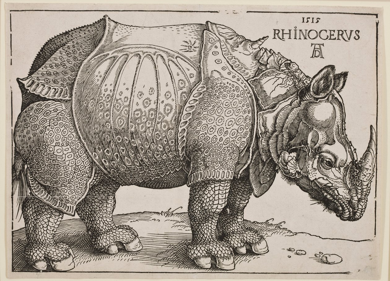 गैंडा, 1515 द्वारा अल्ब्रेक्ट ड्यूरर