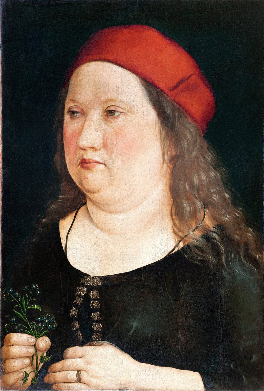 अज्ञात सिटर द्वारा अल्ब्रेक्ट (Attr। To) Durer या Duerer