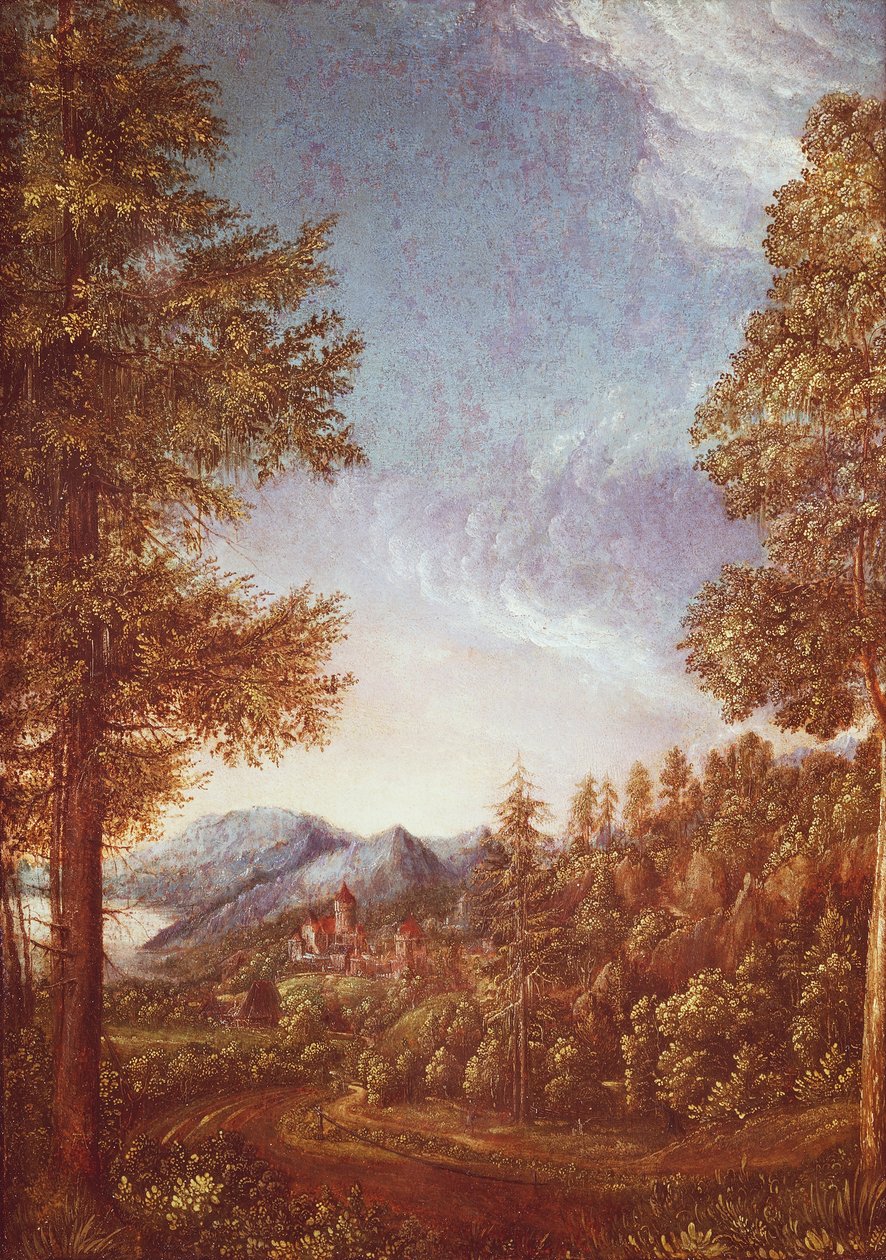कैसल वर्थ के साथ डेन्यूब लैंडस्केप, c.1522-25 (बीच पर चर्मपत्र) द्वारा अल्ब्रेक्ट अल्टरडोरर