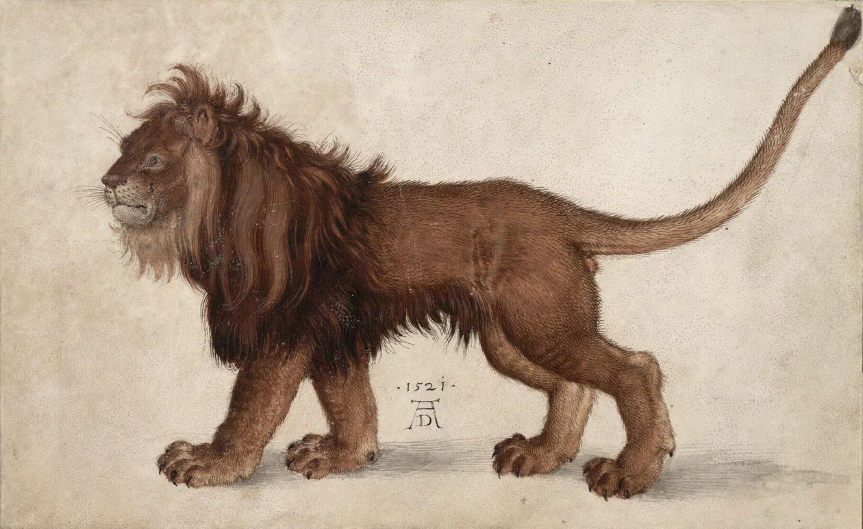 सिंह, 1521. द्वारा अल्ब्रेक्ट ड्यूरर
