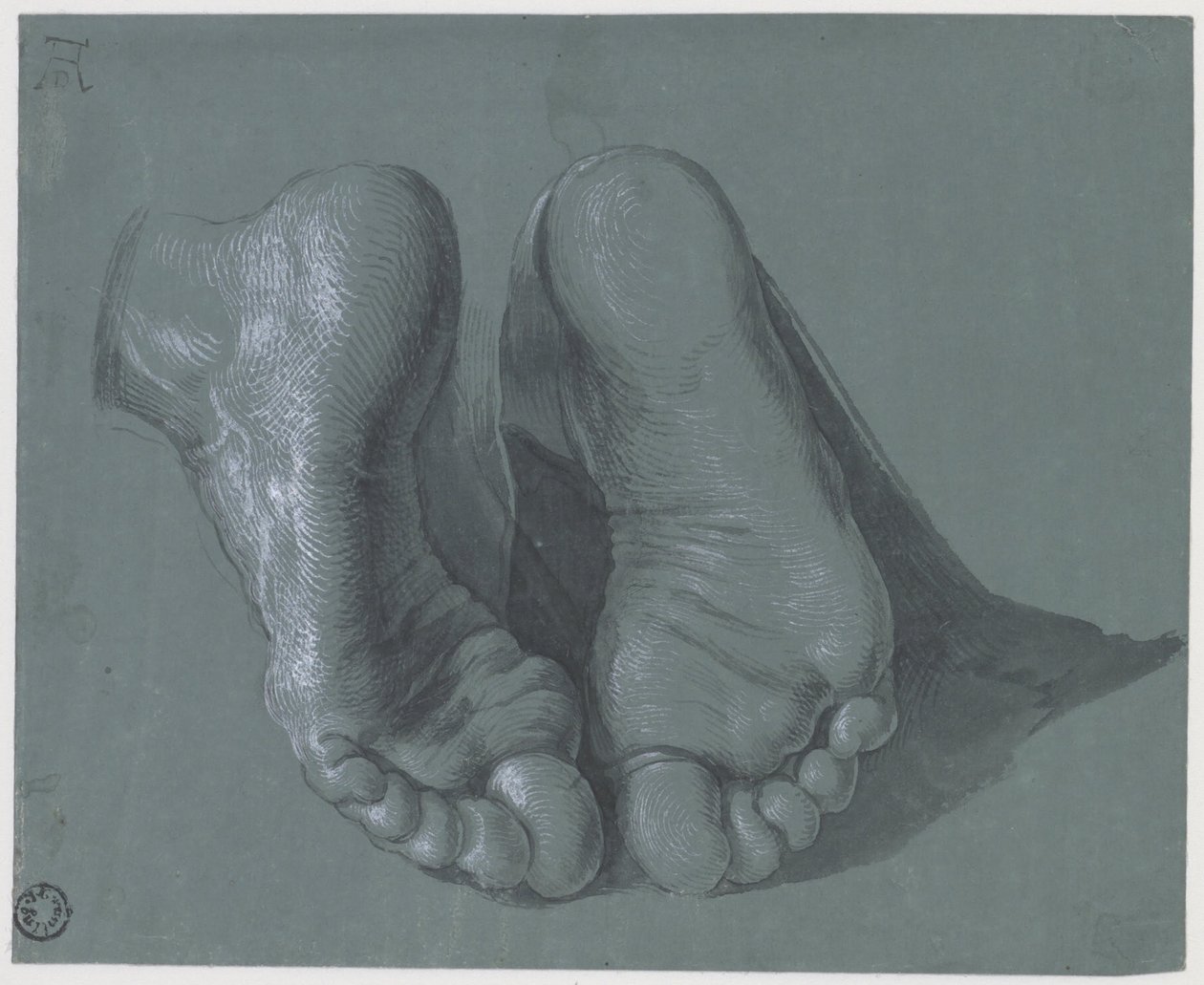 दो पैरों का अध्ययन, c.1508 द्वारा अल्ब्रेक्ट ड्यूरर