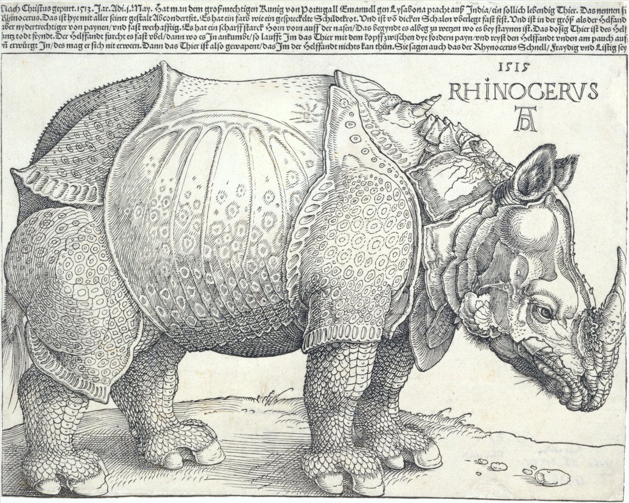 गैंडा, 1515., 1515। द्वारा अल्ब्रेक्ट ड्यूरर