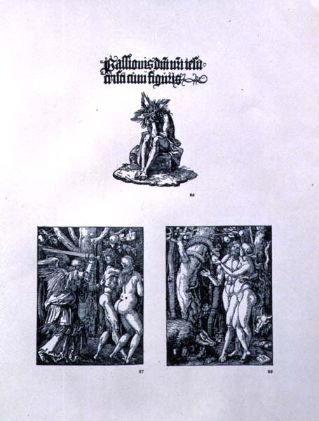 स्माल पैशन सीरीज़ के तीन पृष्ठ: (शीर्ष) शीर्षक पृष्ठ पर मसीह के साथ व्यंग्य के व्यक्ति और एक लैटिन शिलालेख; (बाएं) स्वर्ग से निष्कासन; (दाएं) आदम और हव्वा, पब। 1511 द्वारा अल्ब्रेक्ट ड्यूरर