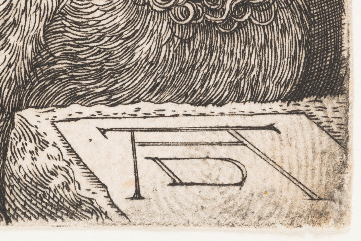  द्वारा अल्ब्रेक्ट ड्यूरर या ड्यूरर