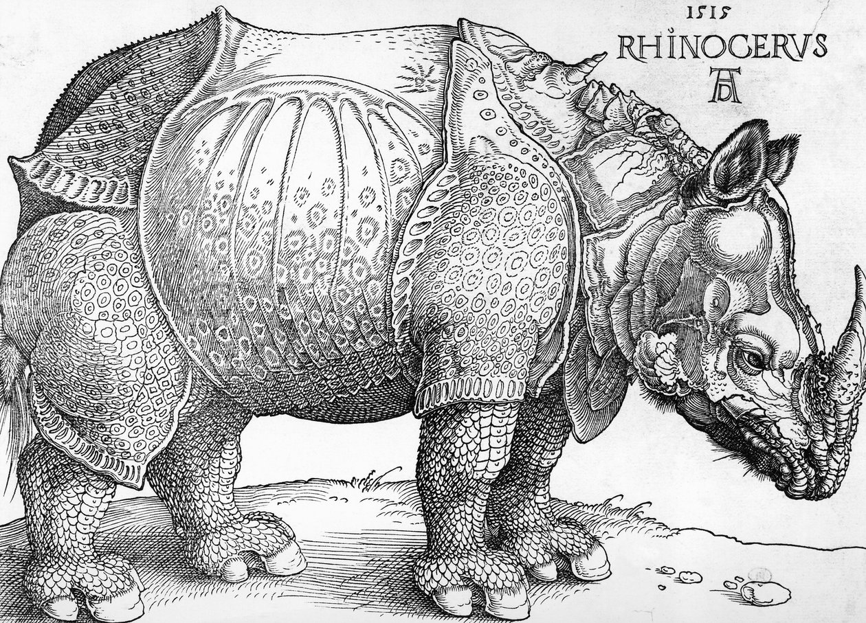 गैंडा द्वारा अल्ब्रेक्ट ड्यूरर
