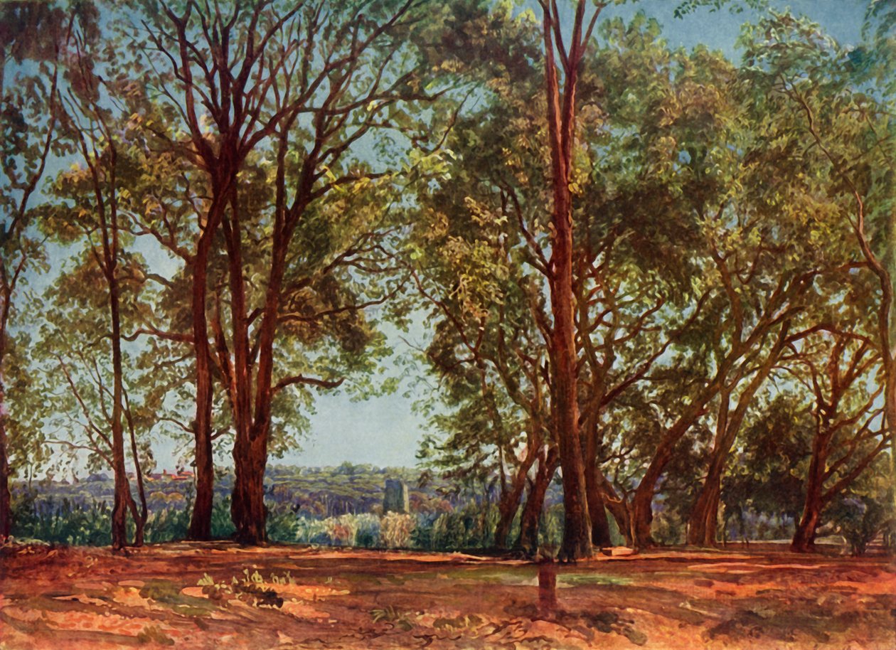 आर्किसी पार्क में, 1830, 1965। द्वारा अलेक्सांद्र इवानोव