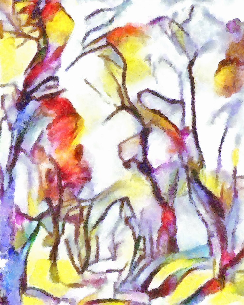 गली, 2016, द्वारा एलेक्स कैमिंकर