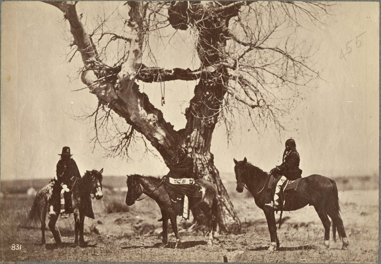 दुरियल, डकोटा, 1868 (एल्बम प्रिंट) द्वारा अलेक्जेंडर गार्डनर