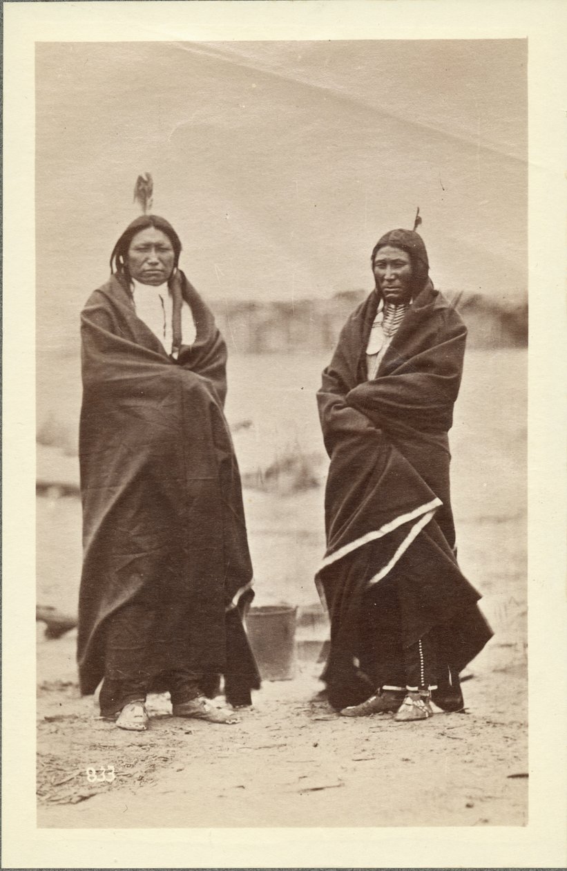 दो बहादुर, डकोटा, 1868 (एल्बम प्रिंट) द्वारा अलेक्जेंडर गार्डनर