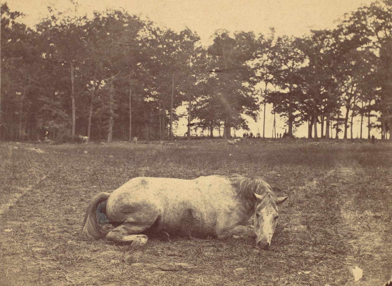 इज़ दिस डेथ - एंटिएटम बैटलफील्ड, सितंबर 1862, 1862। द्वारा अलेक्जेंडर गार्डनर