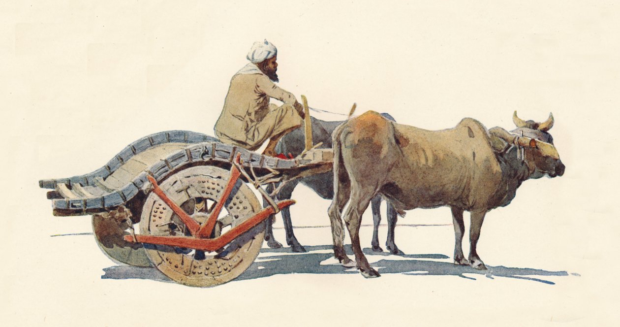 एक बैलगाड़ी, जोधपुर, c1880 1905। द्वारा अलेक्जेंडर हेनरी हल्लम मरे