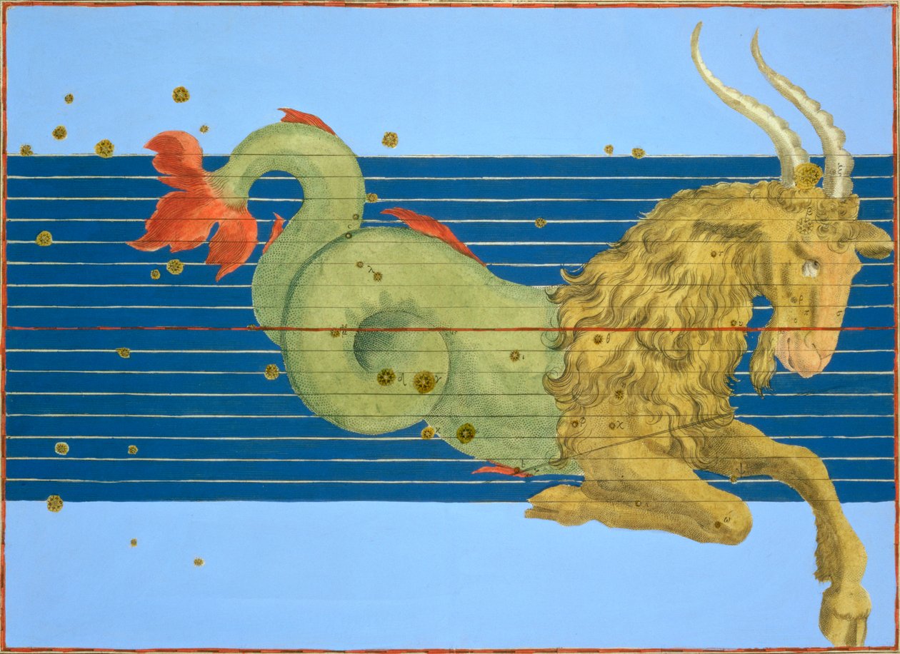 मकर राशि का नक्षत्र, 1603 द्वारा अलेक्जेंडर मायर