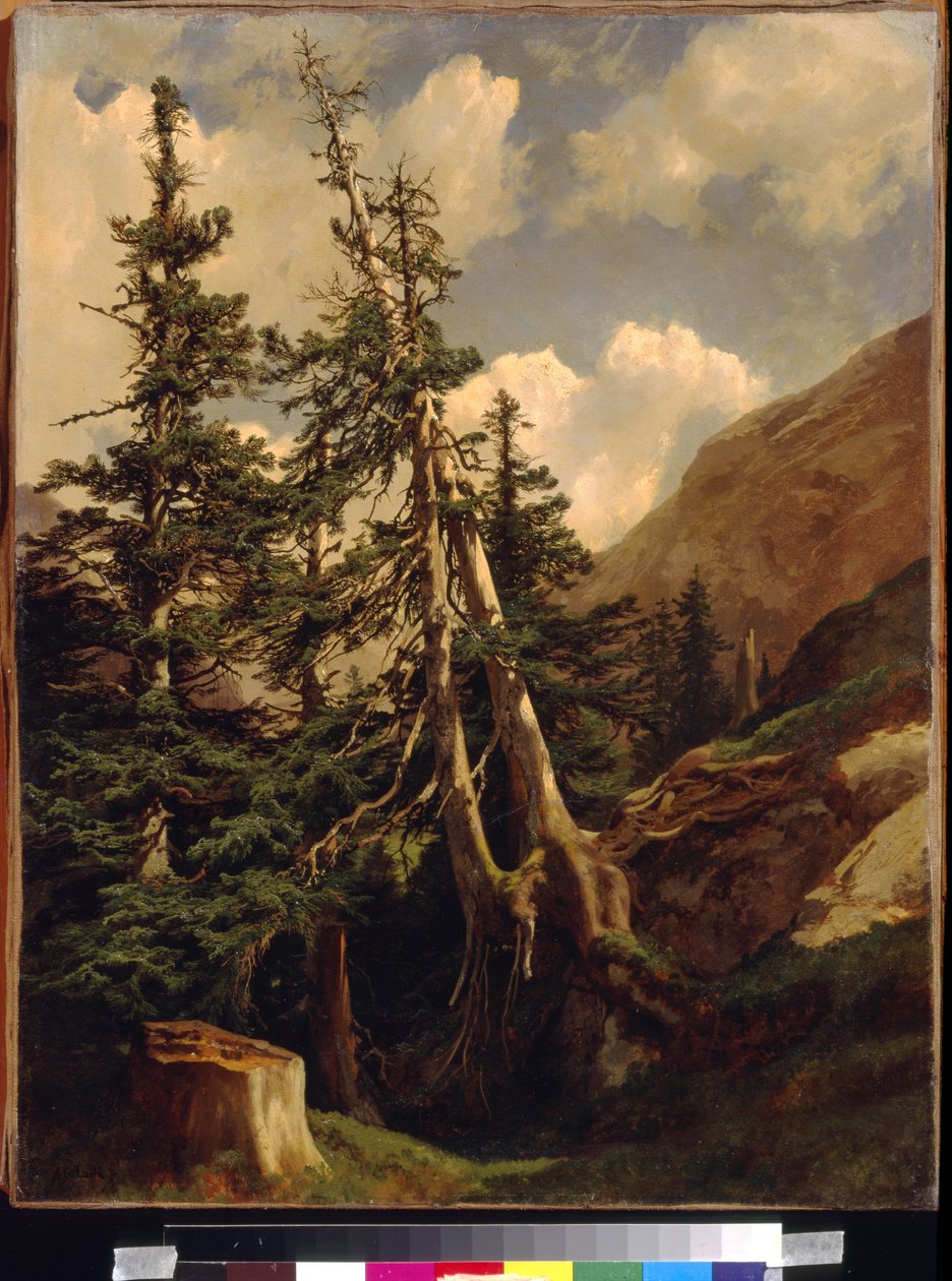 कैलमे, अलेक्जेंड्रे (1810-1864) द्वारा पहाड़ों में प्राथमिकी। कैनवास पर तेल, आयाम: 68,5x53. स्टेट ए। पुश्किन म्यूजियम ऑफ फाइन आर्ट्स, मॉस्को द्वारा अलेक्जेंड्रे कैलामे