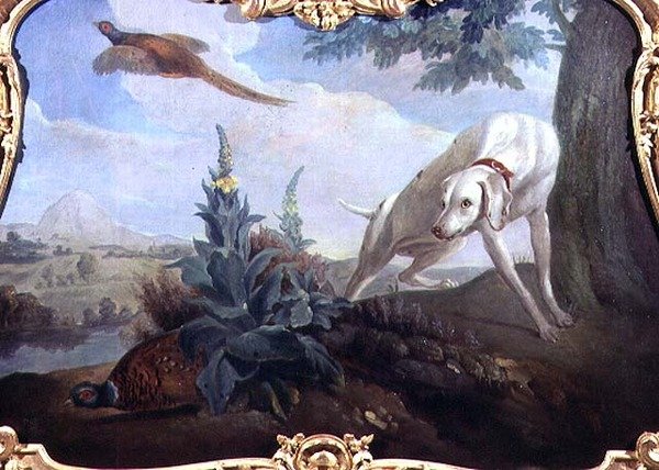 एक परिदृश्य में खेल के साथ कुत्ता द्वारा अलेक्जेंड्रे एफ। (स्कूल ऑफ) डेस्पोर्ट्स