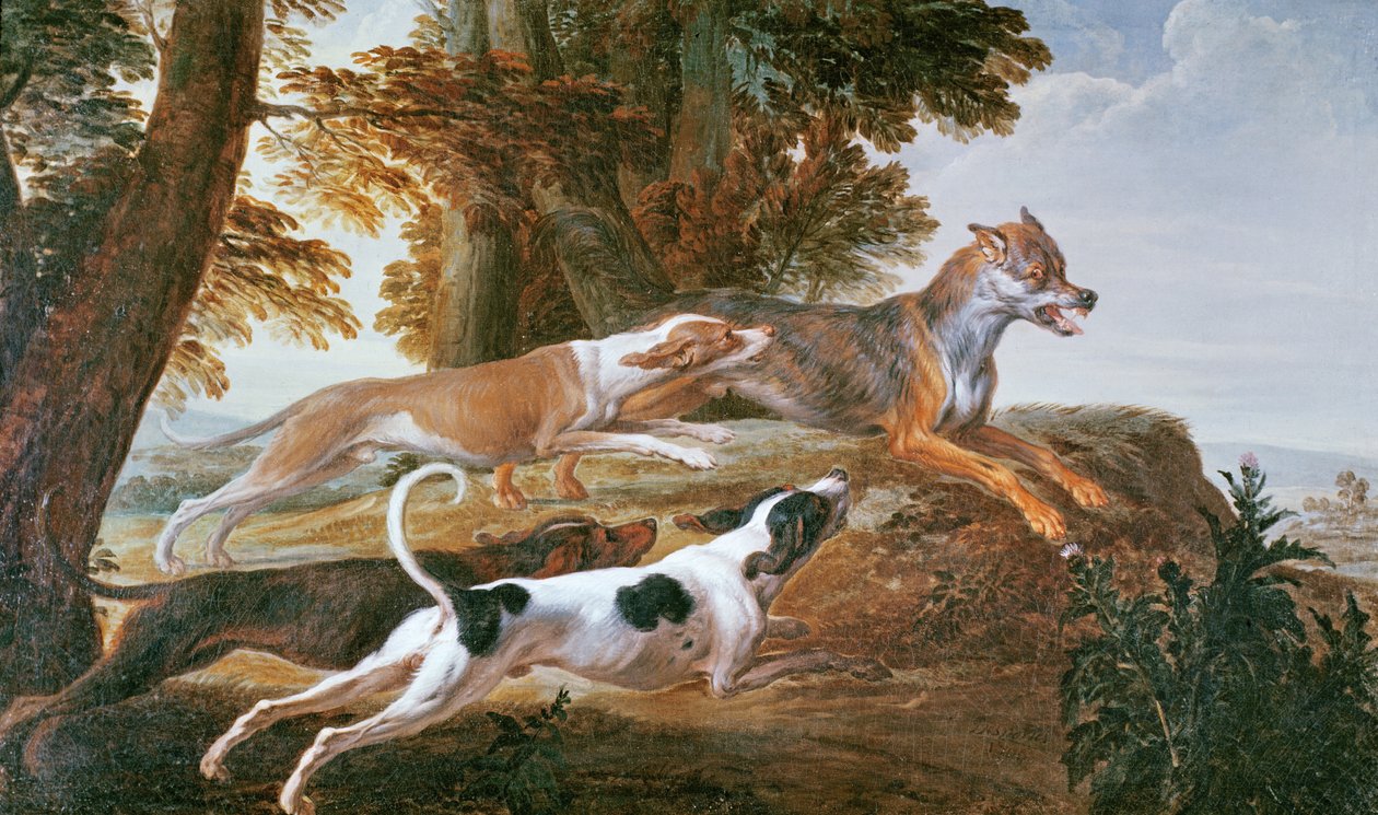 वुल्फ हंट, c.1720 द्वारा एलेक्जेंडर फ्रेंकोइस डेस्पोर्ट्स