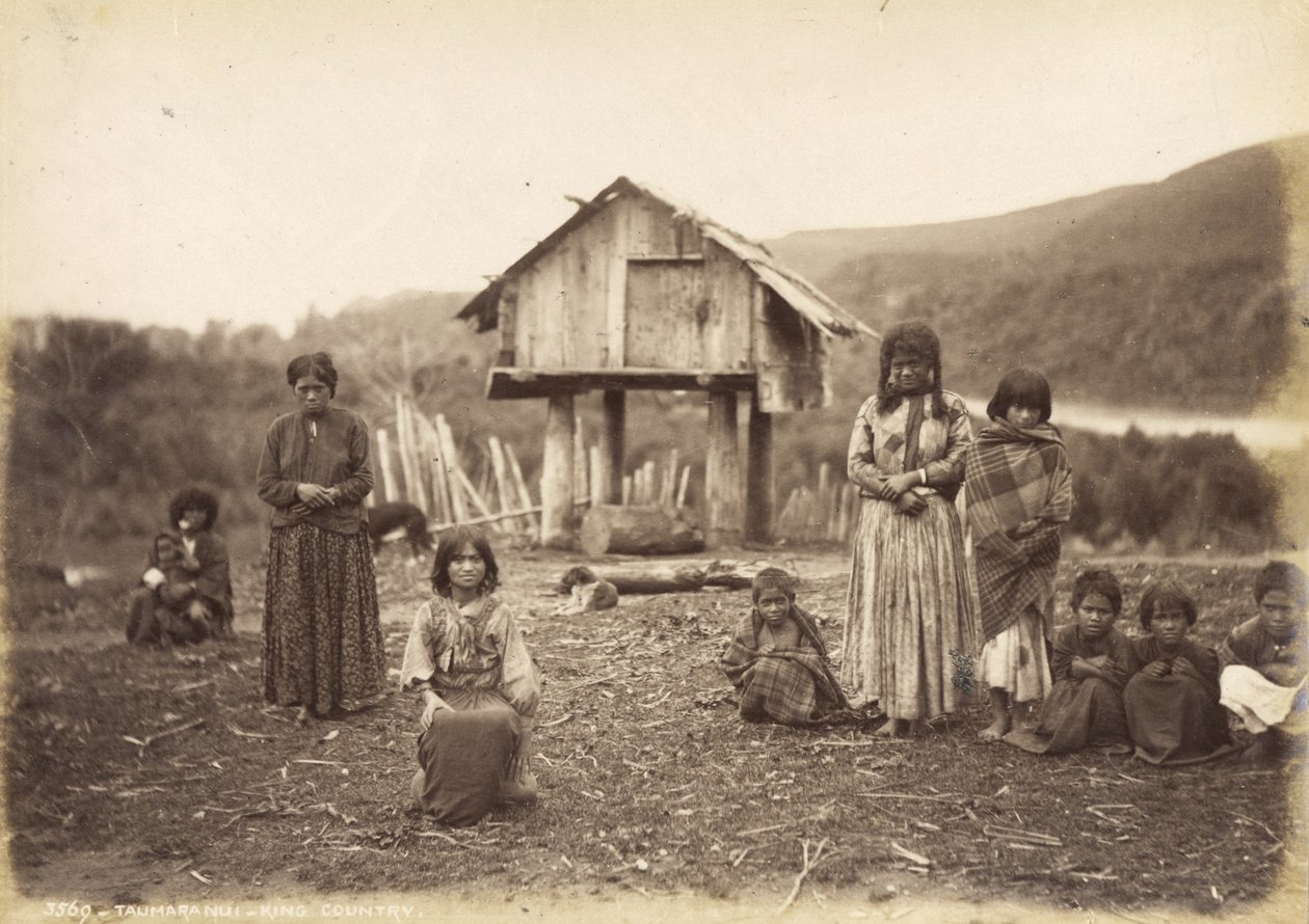 ताउमरानुई - किंग कंट्री, 29 मई 1885 (एल्बम प्रिंट) द्वारा अल्फ्रेड बर्टन