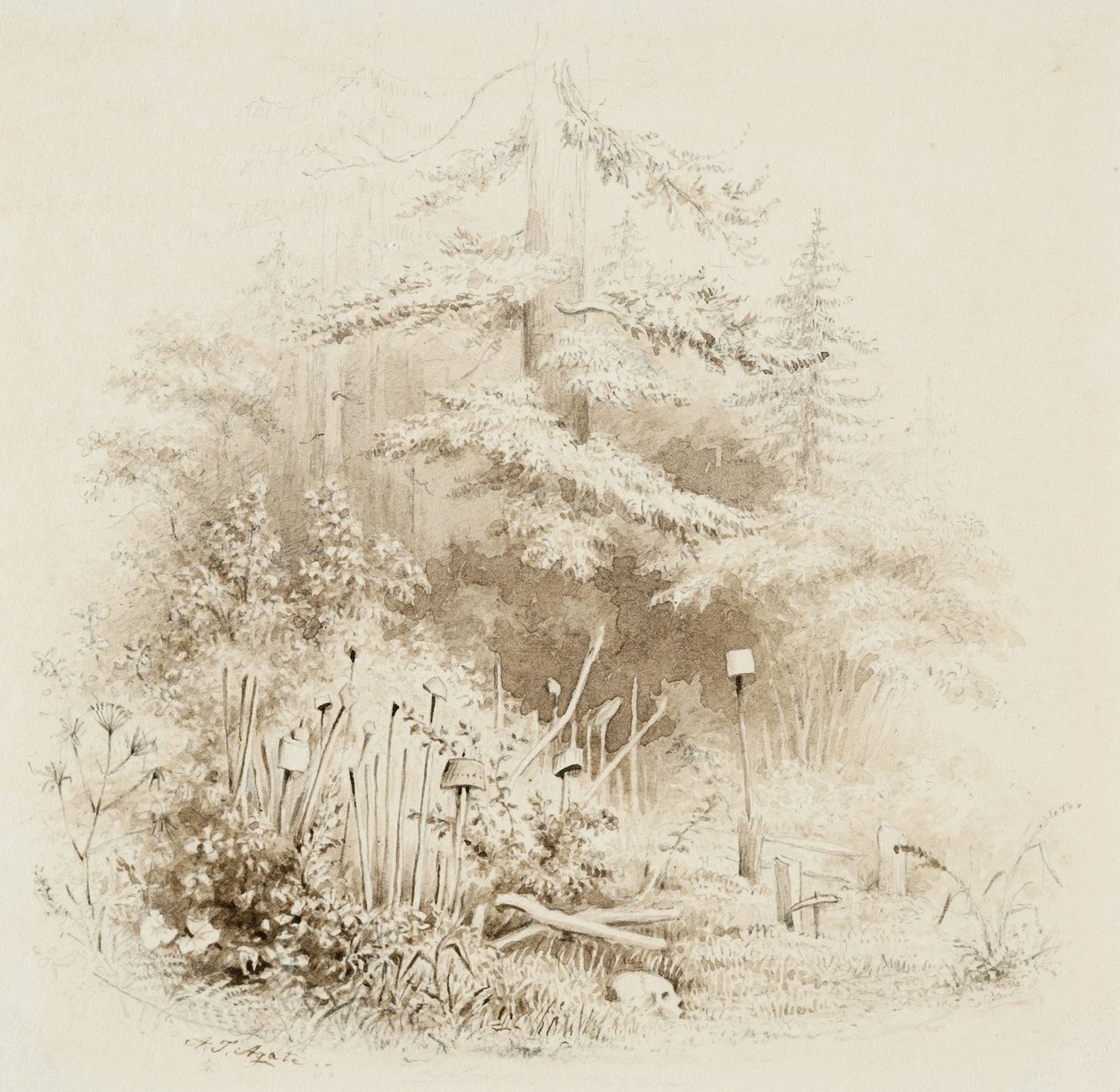 इंडियन ब्यूरियल प्लेस, ओरेगन, 1841 (ब्रश और ब्राउन वॉश, ग्रेफाइट के साथ, क्रीम वोव पेपर पर) द्वारा अल्फ्रेड थॉमस अगेट