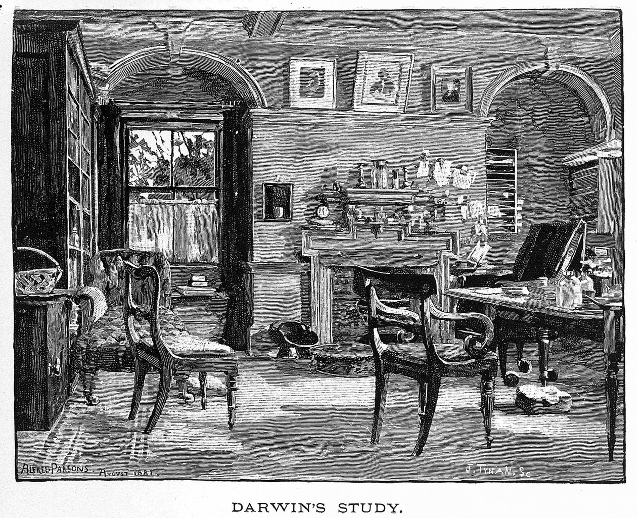 चार्ल्स डार्विन से डार्विन का अध्ययन, उनका जीवन और कार्य, पब। 1891 (लकड़ी की नक्काशी) द्वारा अल्फ्रेड (बाद) पार्सन्स