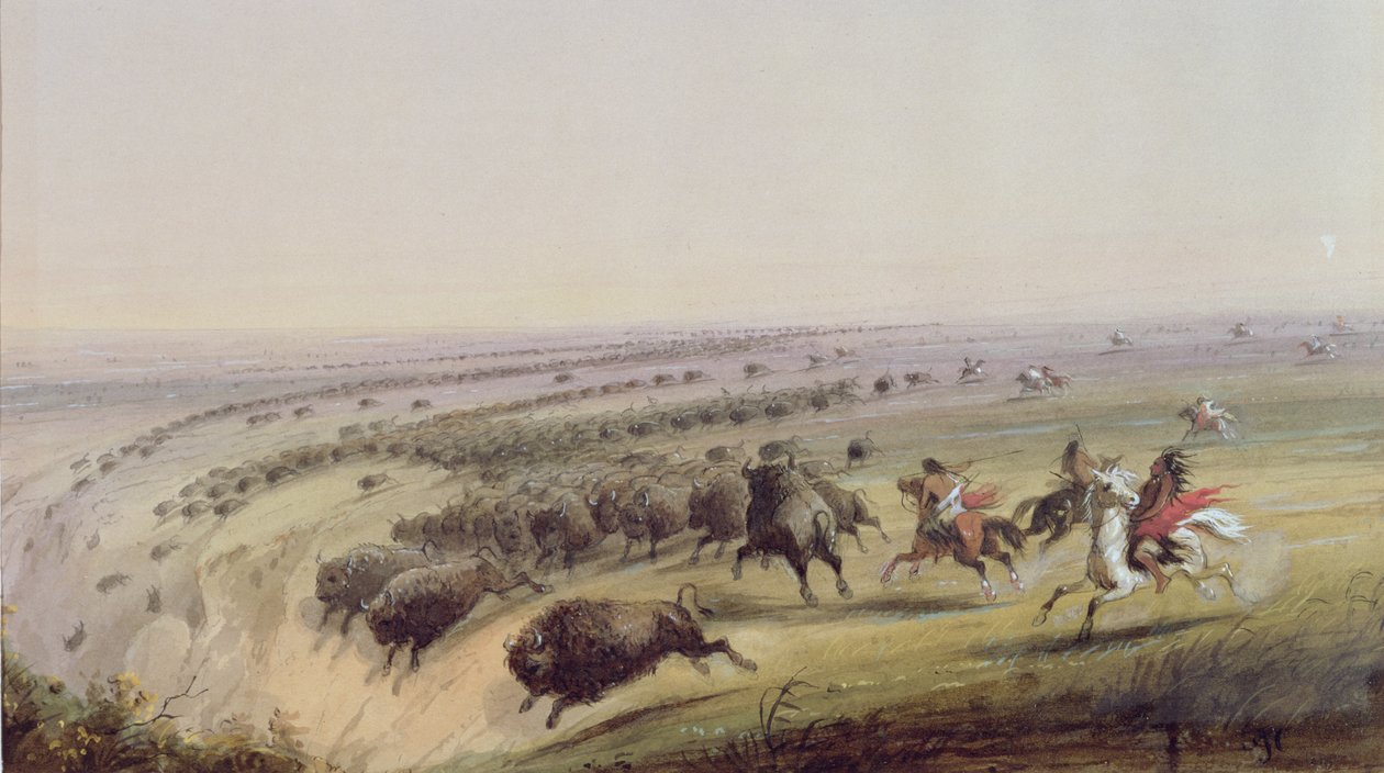 शिकार भैंस, 1837 द्वारा अल्फ्रेड जैकब मिलर