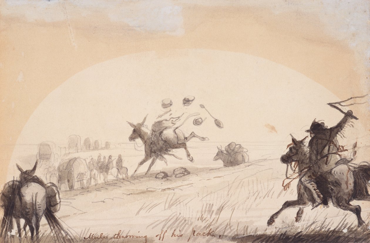 खच्चर अपना बैग फेंक रहा है, लगभग 1837 (कागज़ पर पेंसिल, कलम और स्याही, और धुलाई) द्वारा अल्फ्रेड जैकब मिलर