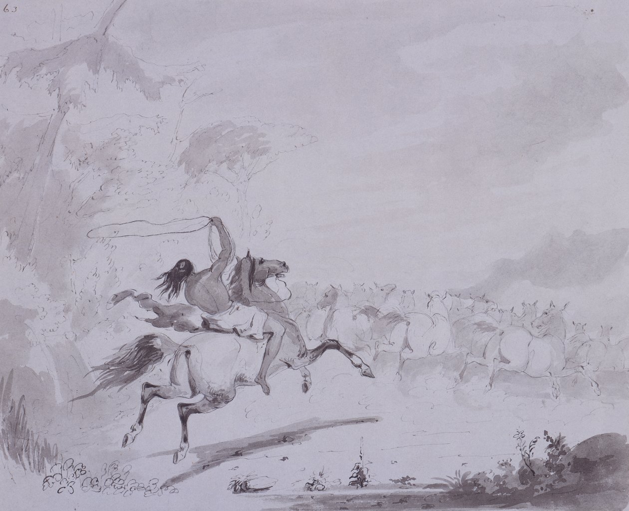 कमंद फेंकना, c.1837 (ग्रे कार्ड पर ग्रे वॉश के साथ कलम और स्याही) द्वारा अल्फ्रेड जैकब मिलर