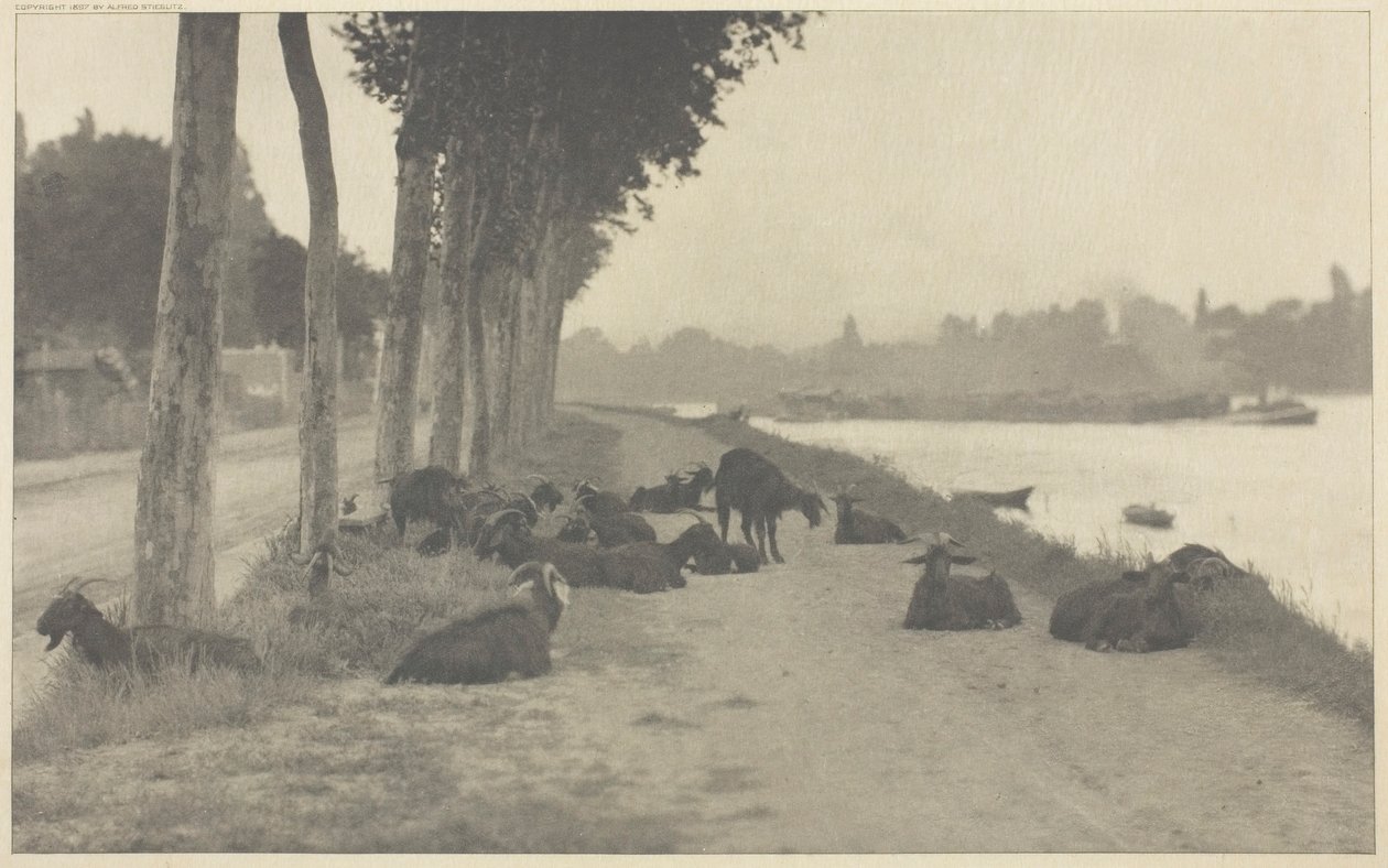 सीन पर—पेरिस के पास, 1894, 1897 मुद्रित। द्वारा अल्फ्रेड स्टिग्लिट्ज़