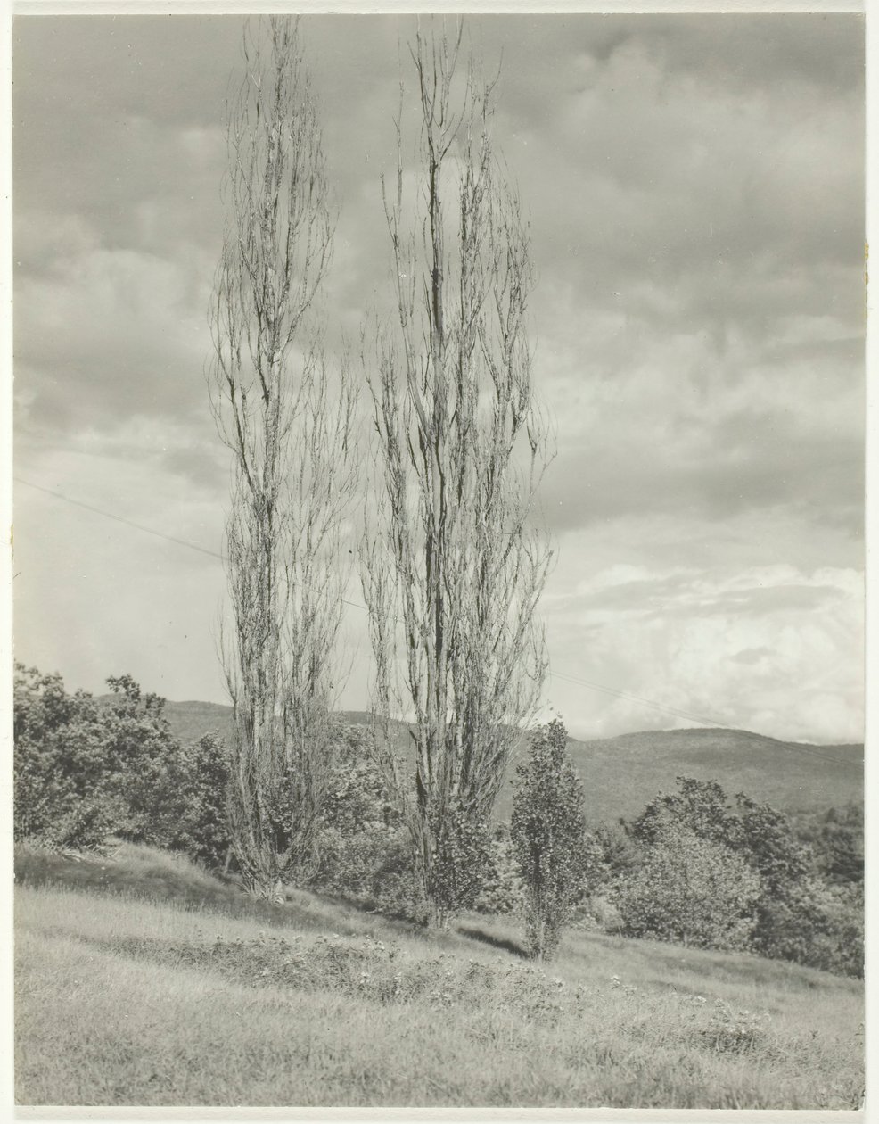 पोपलर-लेक जॉर्ज, 1935। द्वारा अल्फ्रेड स्टिग्लिट्ज़