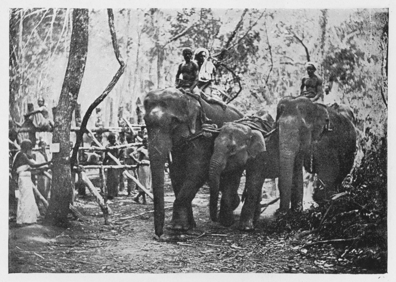 एलियन क्रॉलिंग इन सीलोन - फ्री नो लॉन्गर, c1890, 1910 द्वारा अल्फ्रेड विलियम अमैंडस प्लेट
