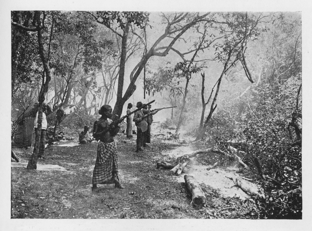 सीलोन की ओर हाथी क्रालिंग स्टॉकड की ओर, c1890, 1910 द्वारा अल्फ्रेड विलियम अमैंडस प्लेट