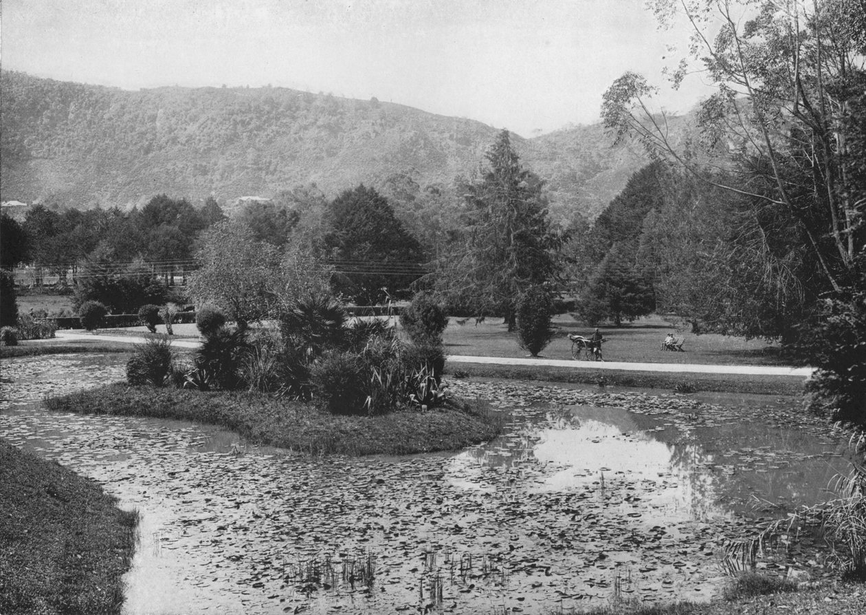 लोटस पॉन्ड, नुवारा एलिया से हग्गल्ला गार्डन, c1890, 1910 द्वारा अल्फ्रेड विलियम अमैंडस प्लेट