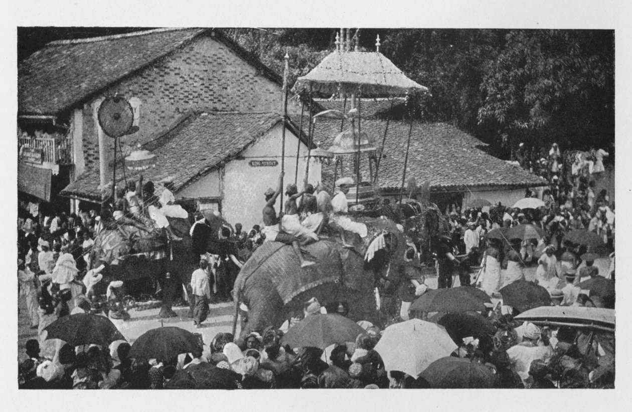 कैंडी परेरा। - कांडियन प्रमुखों द्वारा हाथियों का एक जुलूस, c1890, 1910 द्वारा अल्फ्रेड विलियम अमैंडस प्लेट