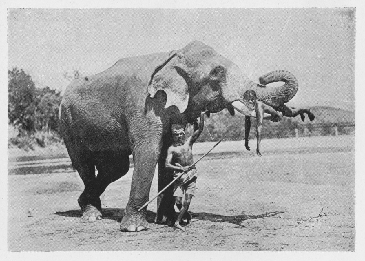 मालिगावा हाथी और महावत, c1890, 1910 द्वारा अल्फ्रेड विलियम अमैंडस प्लेट