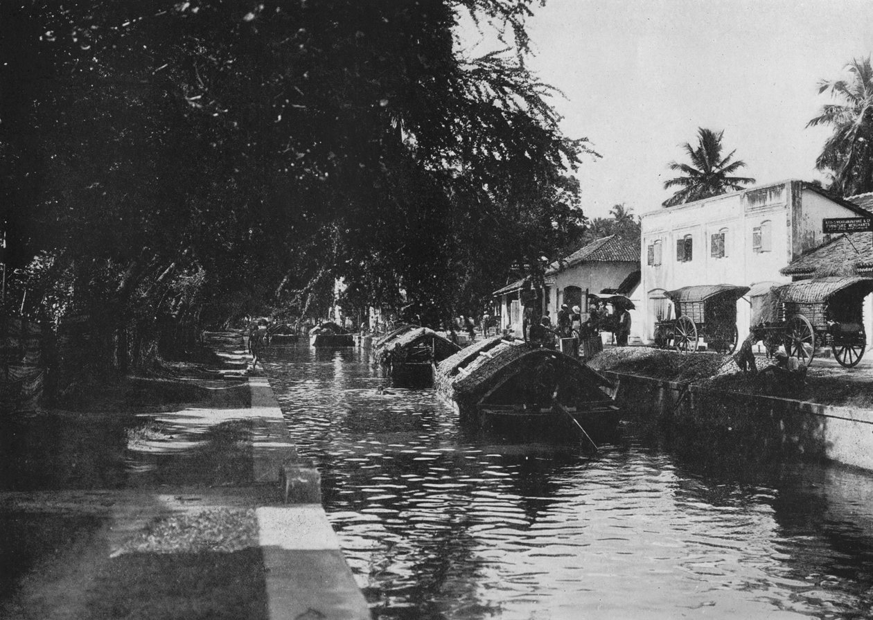 नेगोम्बो कैनाल, पद्दा नौकाओं को दिखाते हुए, c1890, 1910 द्वारा अल्फ्रेड विलियम अमैंडस प्लेट