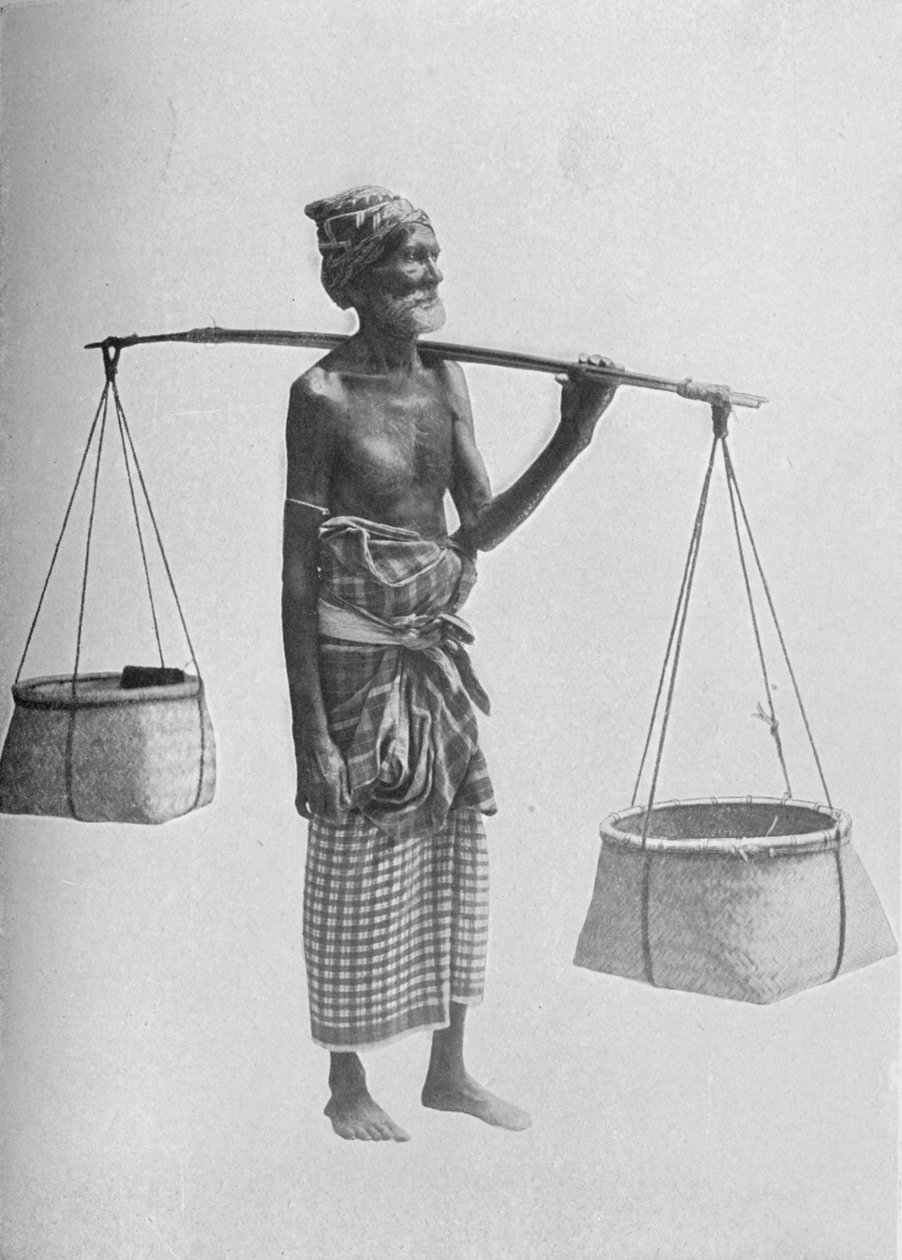 पिंगो कैरियर, c1890, 1910 द्वारा अल्फ्रेड विलियम अमैंडस प्लेट