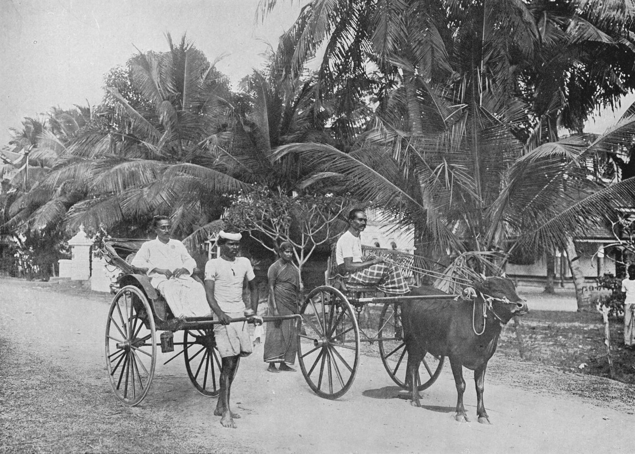 रिक्शा और रेसिंग हैकरी, c1890, 1910 द्वारा अल्फ्रेड विलियम अमैंडस प्लेट
