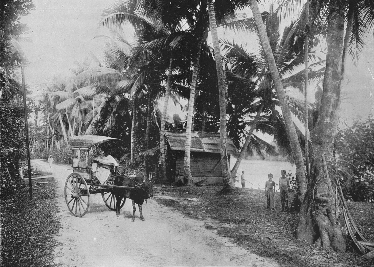 रोड के पास केलानिया नदी, c1890, 1910 द्वारा अल्फ्रेड विलियम अमैंडस प्लेट
