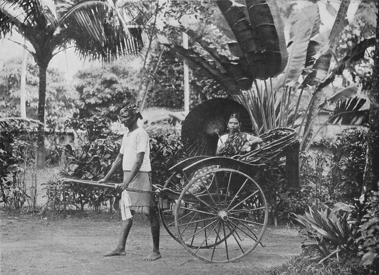 रिक्शा में तमिल महिला, c1890, 1910 द्वारा अल्फ्रेड विलियम अमैंडस प्लेट