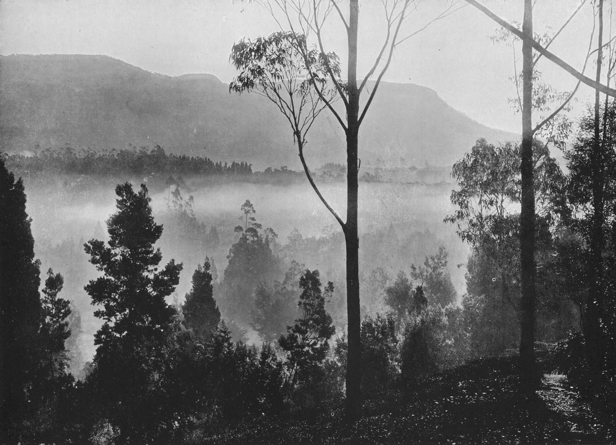 नुवारा एलिया में द अर्ली मॉर्निंग मिस्ट राइजिंग, c1890, 1910 द्वारा अल्फ्रेड विलियम अमैंडस प्लेट