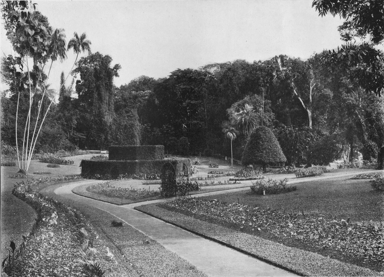 द फ़र्नरी, पेरेडेनिया गार्डन, सीलोन, c1890 1910 द्वारा अल्फ्रेड विलियम अमैंडस प्लेट