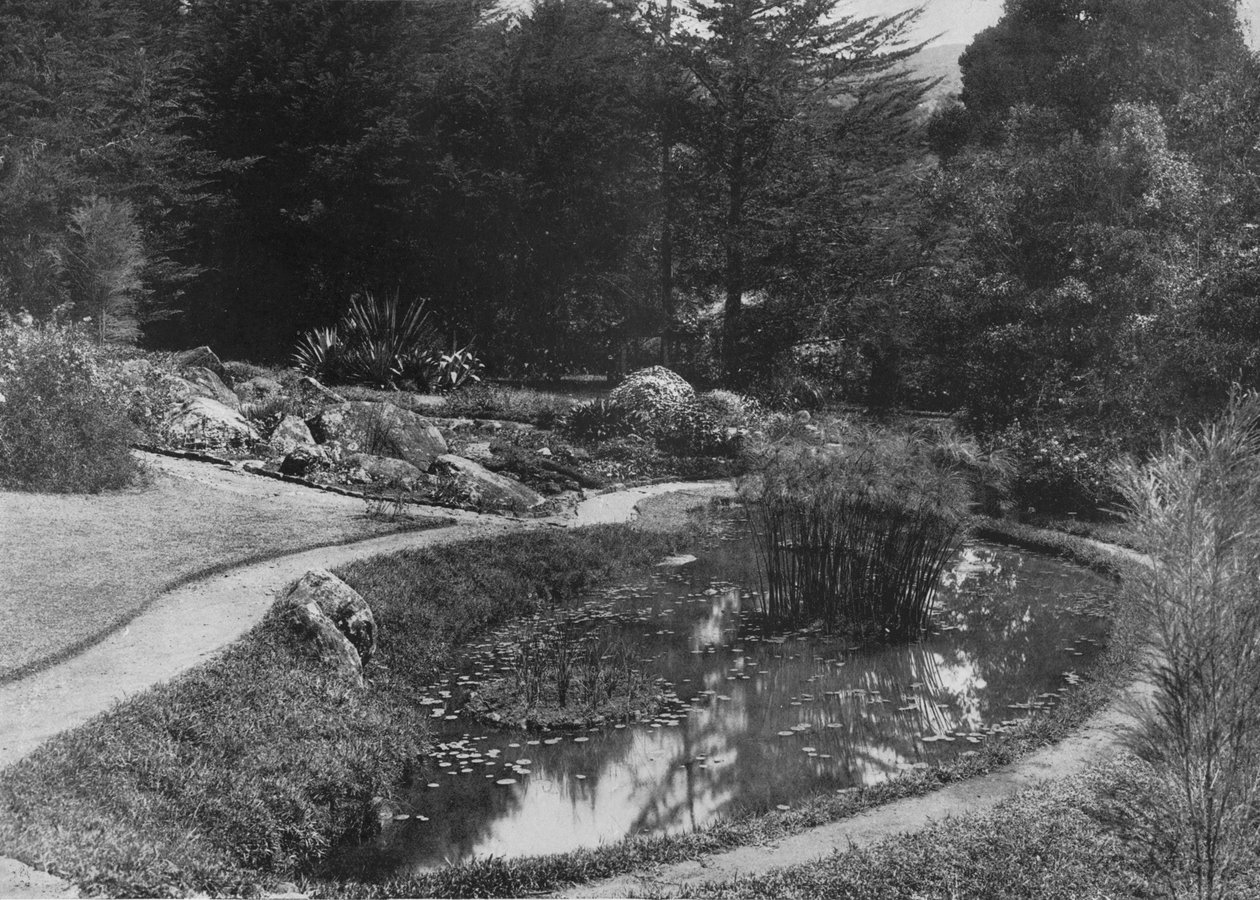 द रॉक गार्डन, हाकगल्ला गार्डन, नुवारा एलिया, c1890, 1910 द्वारा अल्फ्रेड विलियम अमैंडस प्लेट