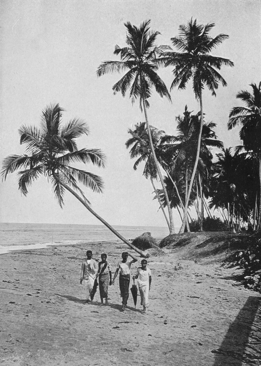 द साइड ऑफ़ द सिल्वर सी, c1890, 1910 द्वारा अल्फ्रेड विलियम अमैंडस प्लेट