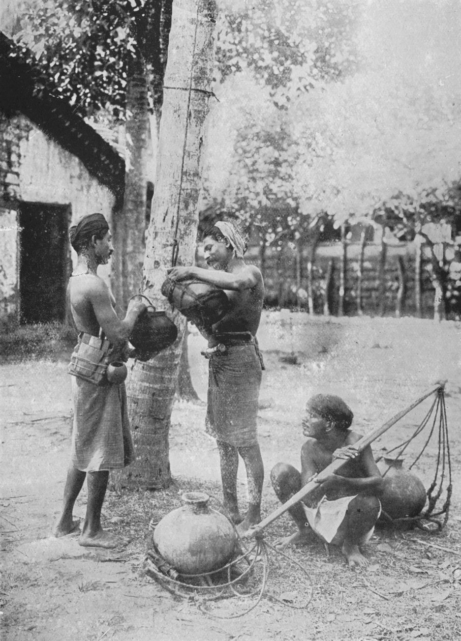 टोडी ड्रॉर्स, c1890, 1910 द्वारा अल्फ्रेड विलियम अमैंडस प्लेट