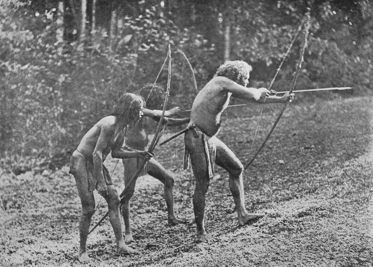 वेदाह या जंगली पुरुष, c1890, 1910 द्वारा अल्फ्रेड विलियम अमैंडस प्लेट