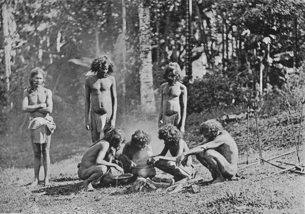 वेदाह या जंगली पुरुष, c1890, 1910 द्वारा अल्फ्रेड विलियम अमैंडस प्लेट