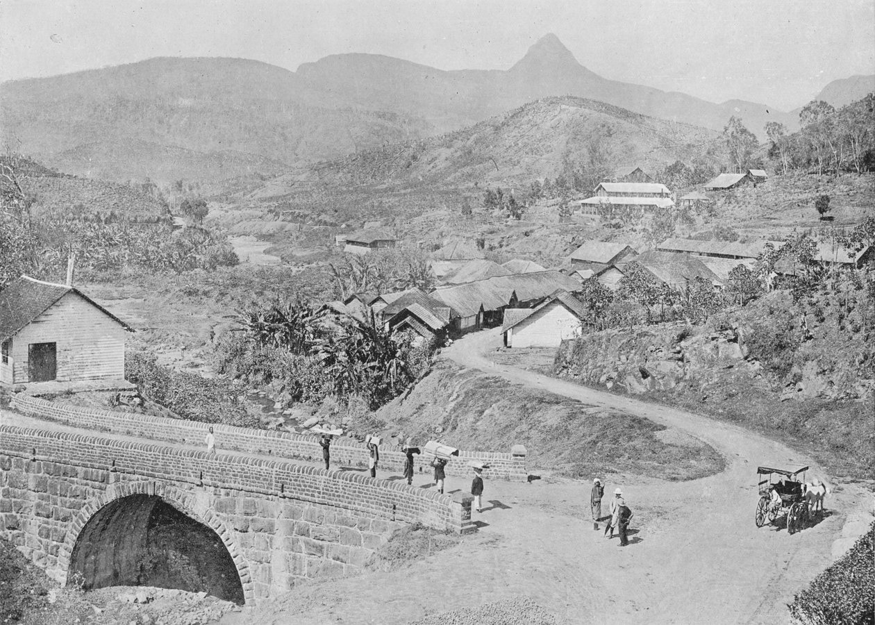 एडम्स पीक दिखा मास्किया का दृश्य, c1890, 1910 द्वारा अल्फ्रेड विलियम अमैंडस प्लेट