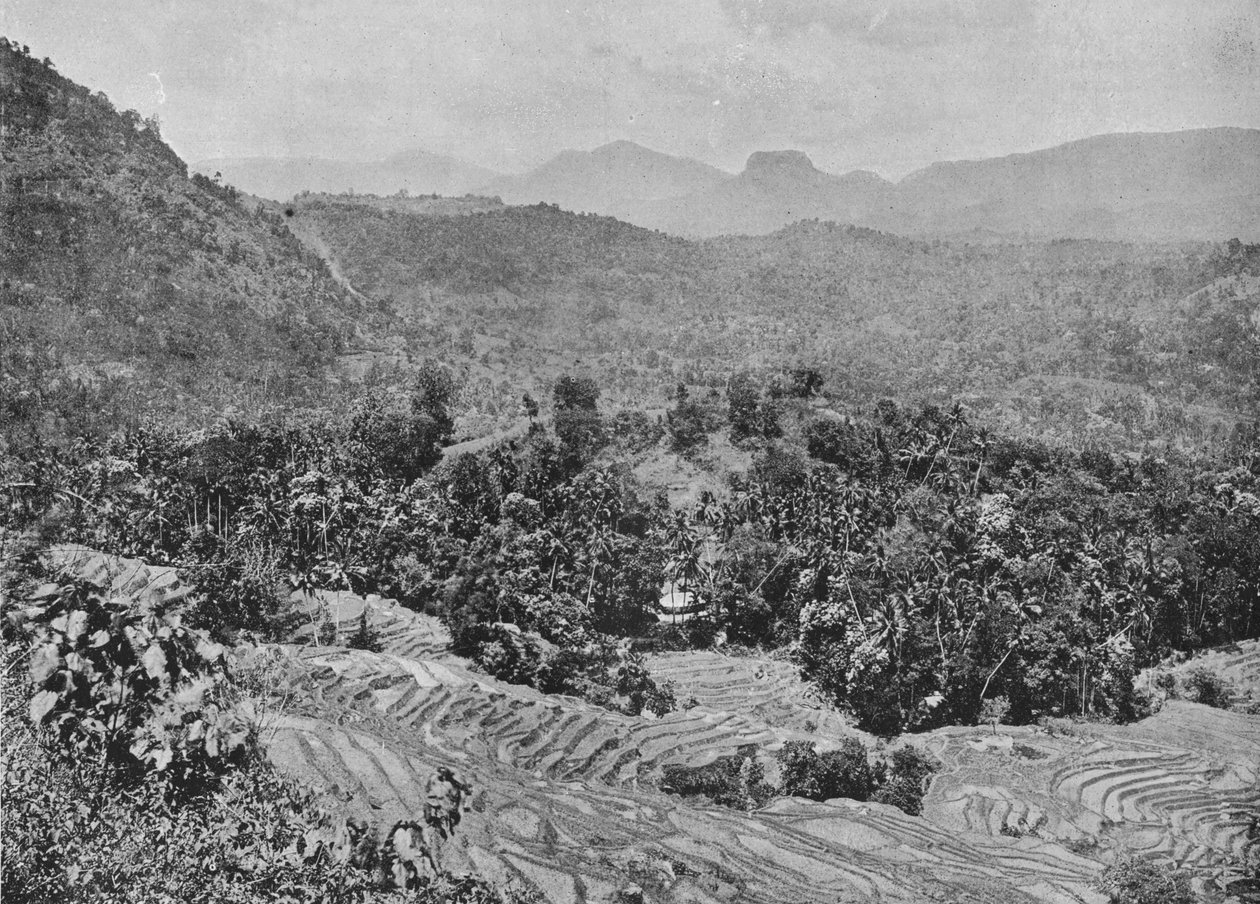 कडुगनवा दर्रा से धान के मैदान का दृश्य, c1890, 1910 द्वारा अल्फ्रेड विलियम अमैंडस प्लेट