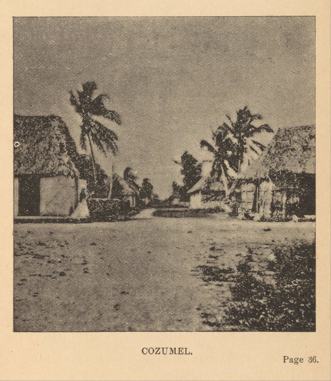 Cozumel द्वारा ऐलिस डिक्सन ले प्लैजोन