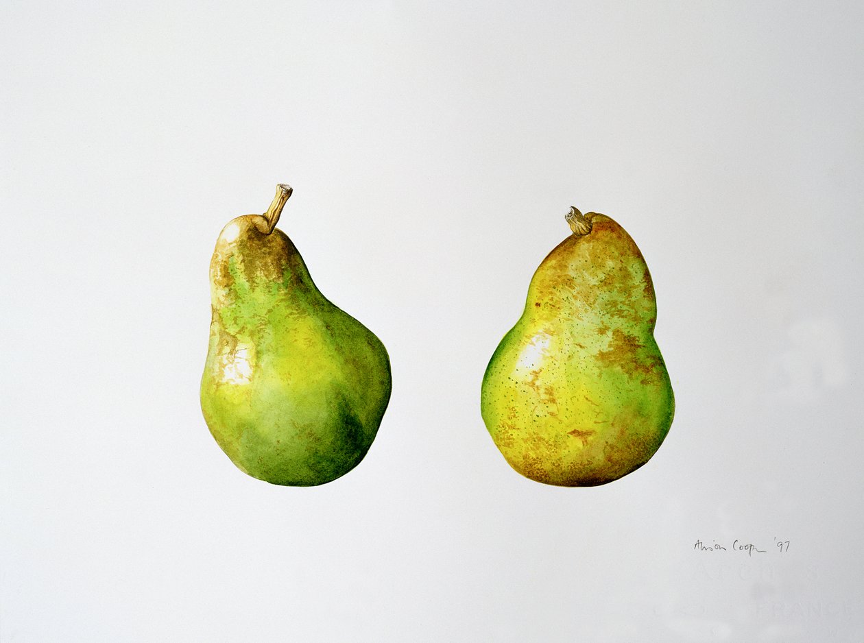 ए पेयर ऑफ़ पीयर्स, 1997 द्वारा एलिसन कूपर