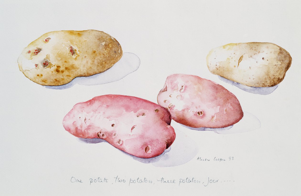 पोटैटो स्टडी, 1993 द्वारा एलिसन कूपर